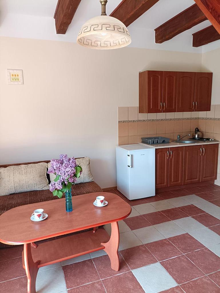 Apartamenty "Anusia" Ledzin Exterior foto