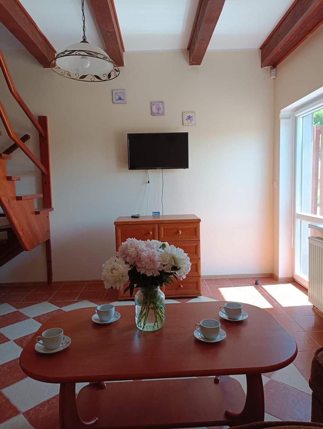 Apartamenty "Anusia" Ledzin Exterior foto