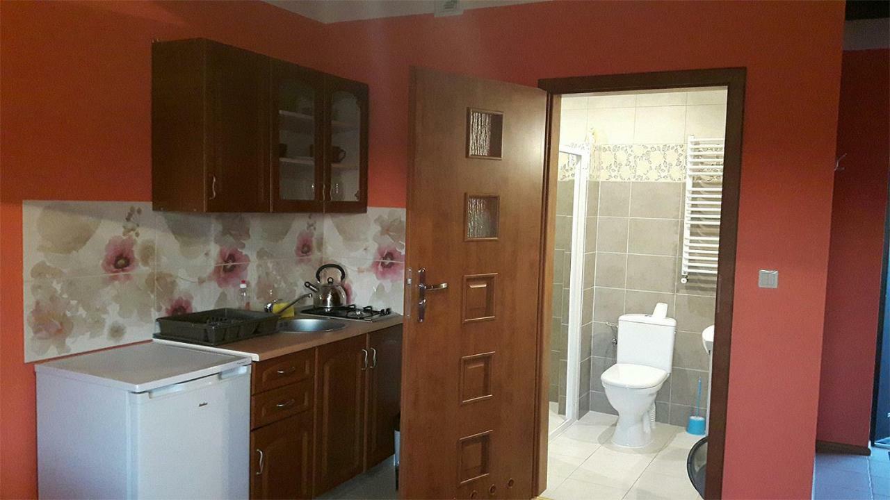 Apartamenty "Anusia" Ledzin Exterior foto