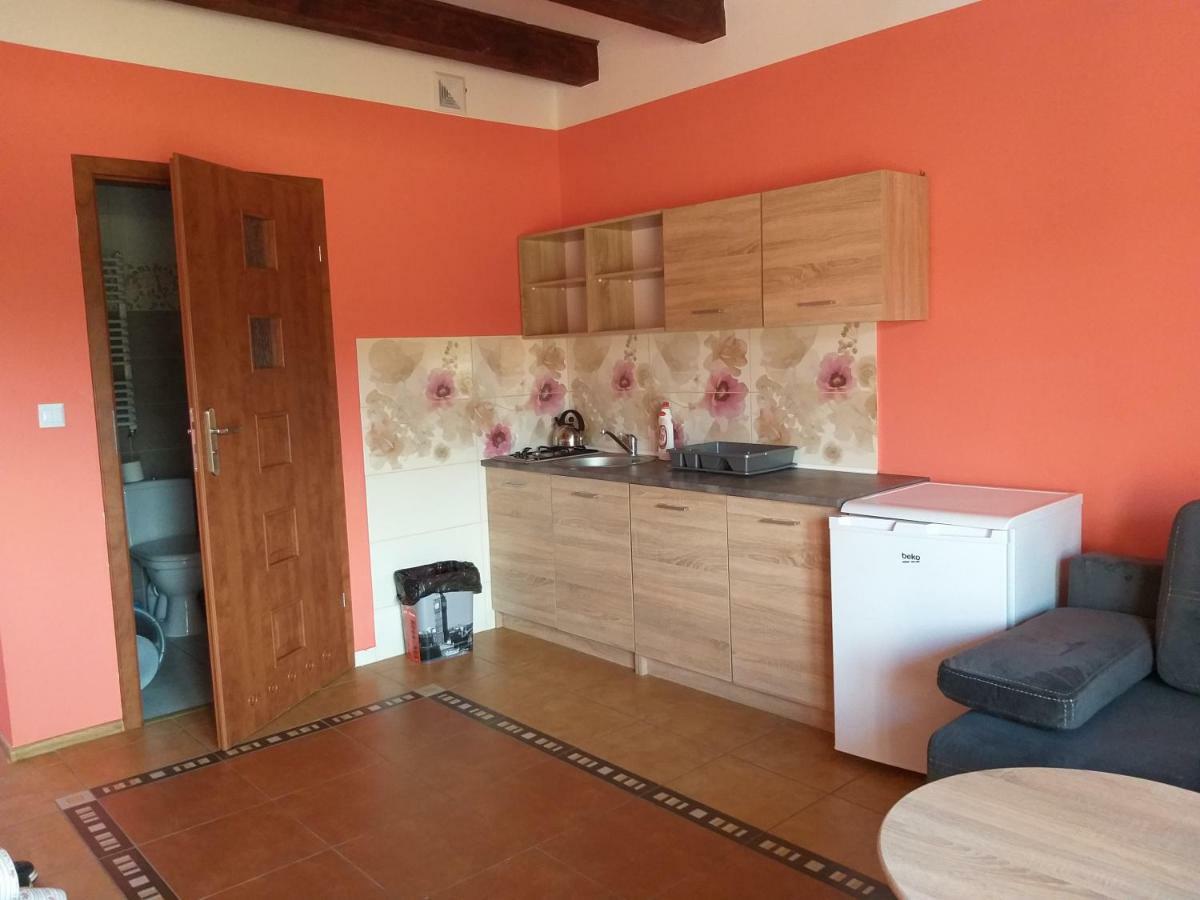 Apartamenty "Anusia" Ledzin Exterior foto